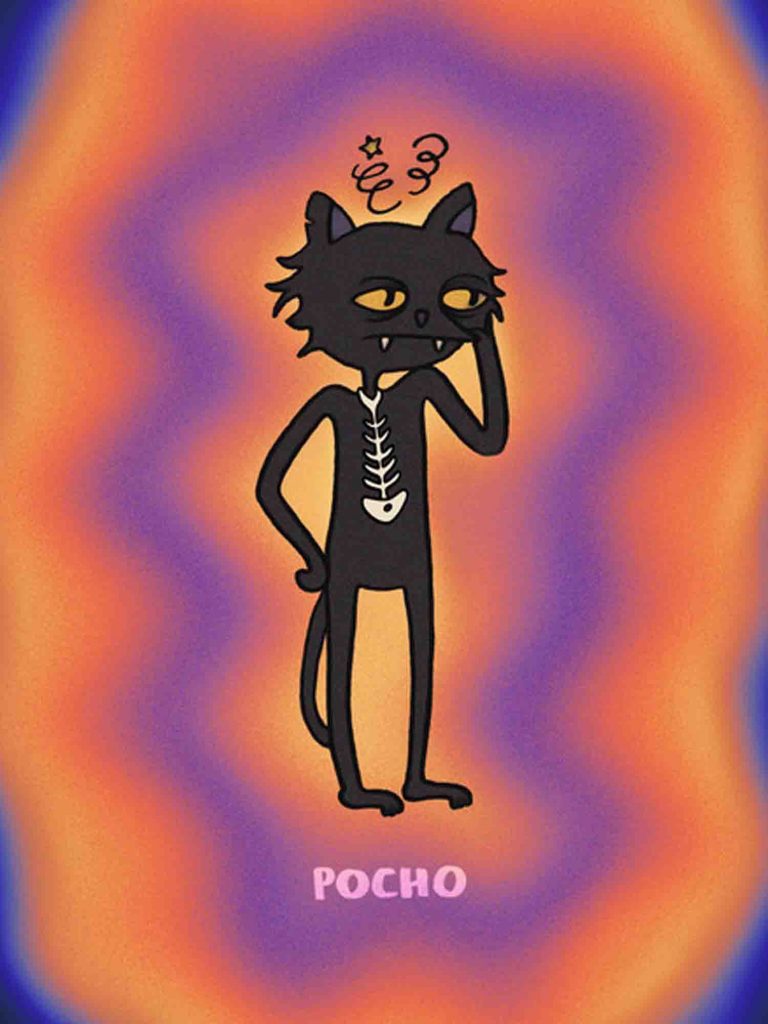 Pocho